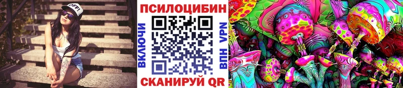 дарк нет наркотические препараты  Березники  Галлюциногенные грибы Psilocybine cubensis 